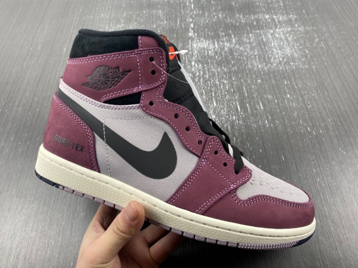 air jordan 1 high element gore-tex
